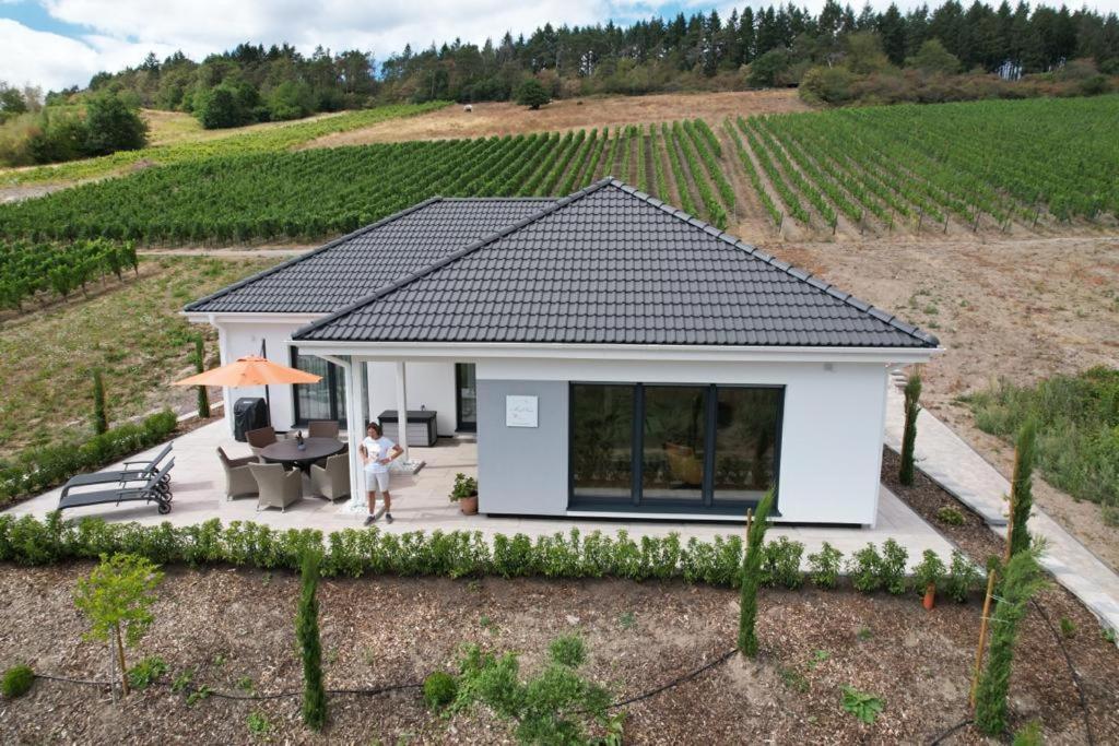 Neu - Premium-Ferienhaus Mosel-Sonne Traben-Trarbach Exterior foto